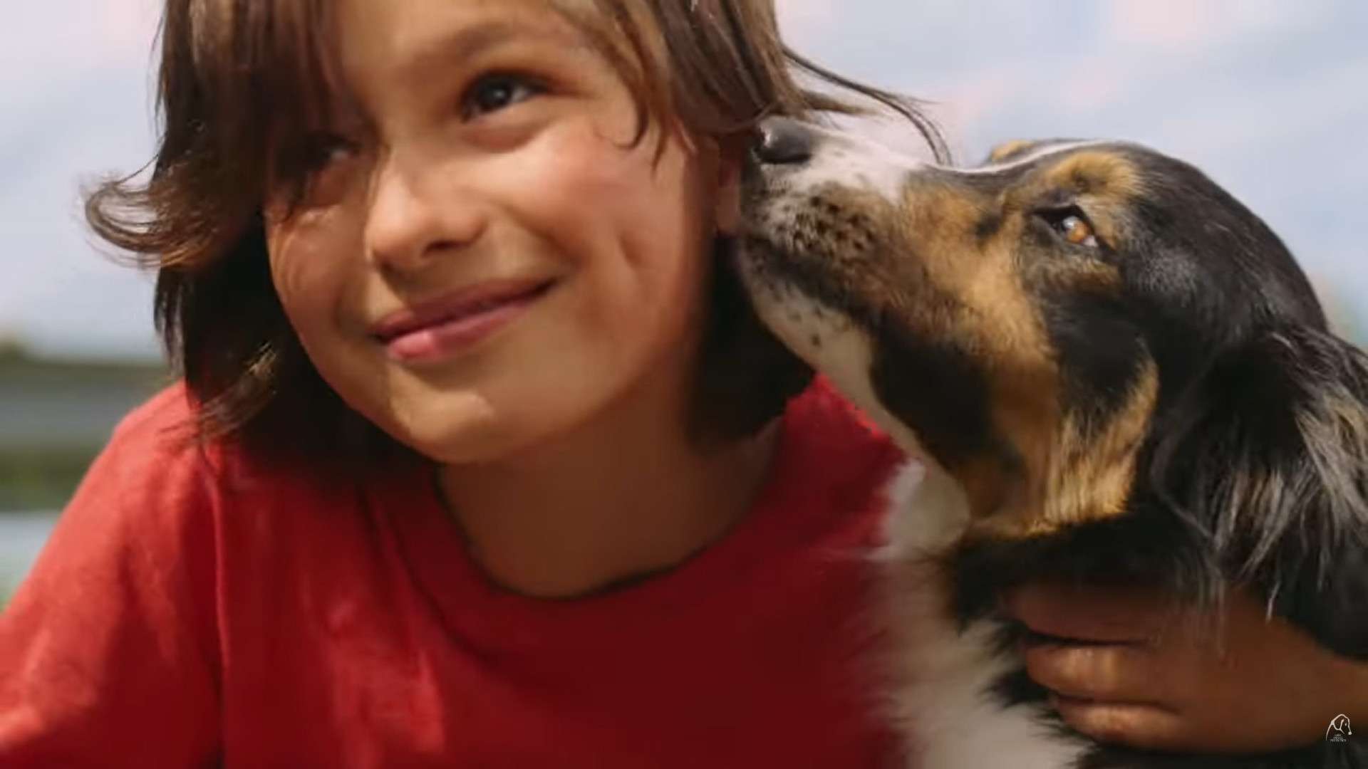 “Gli amici non si abbandonano”: campagna LNDC contro l’abbandono degli animali [VIDEO]